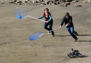 Illustration for article titled Human People Chasing Robot Ducks With Silly Nets